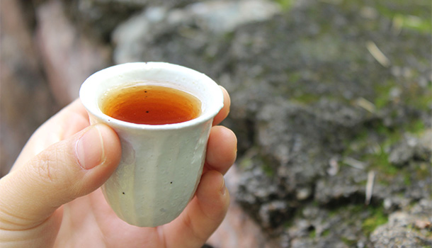 珍惜這一刻的品茗  資深茶人：這樣的滋味，明天會因心境而不同