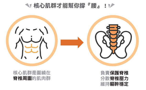 下背痛怎麼辦 治療師 4種核心肌群運動可改善下背痛